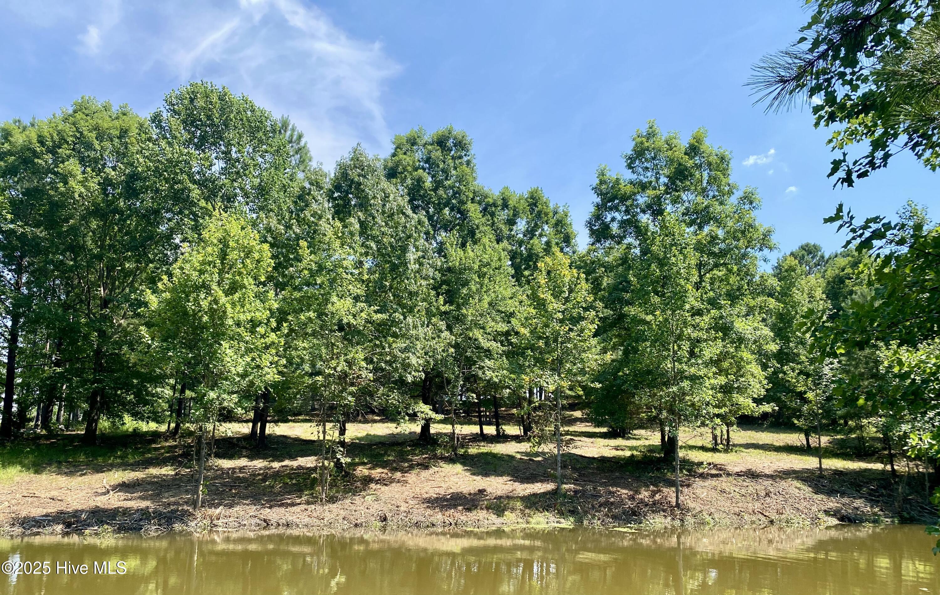 291 Gails Road West End, NC 27376 - Photo 2 of 10 view from across the lake