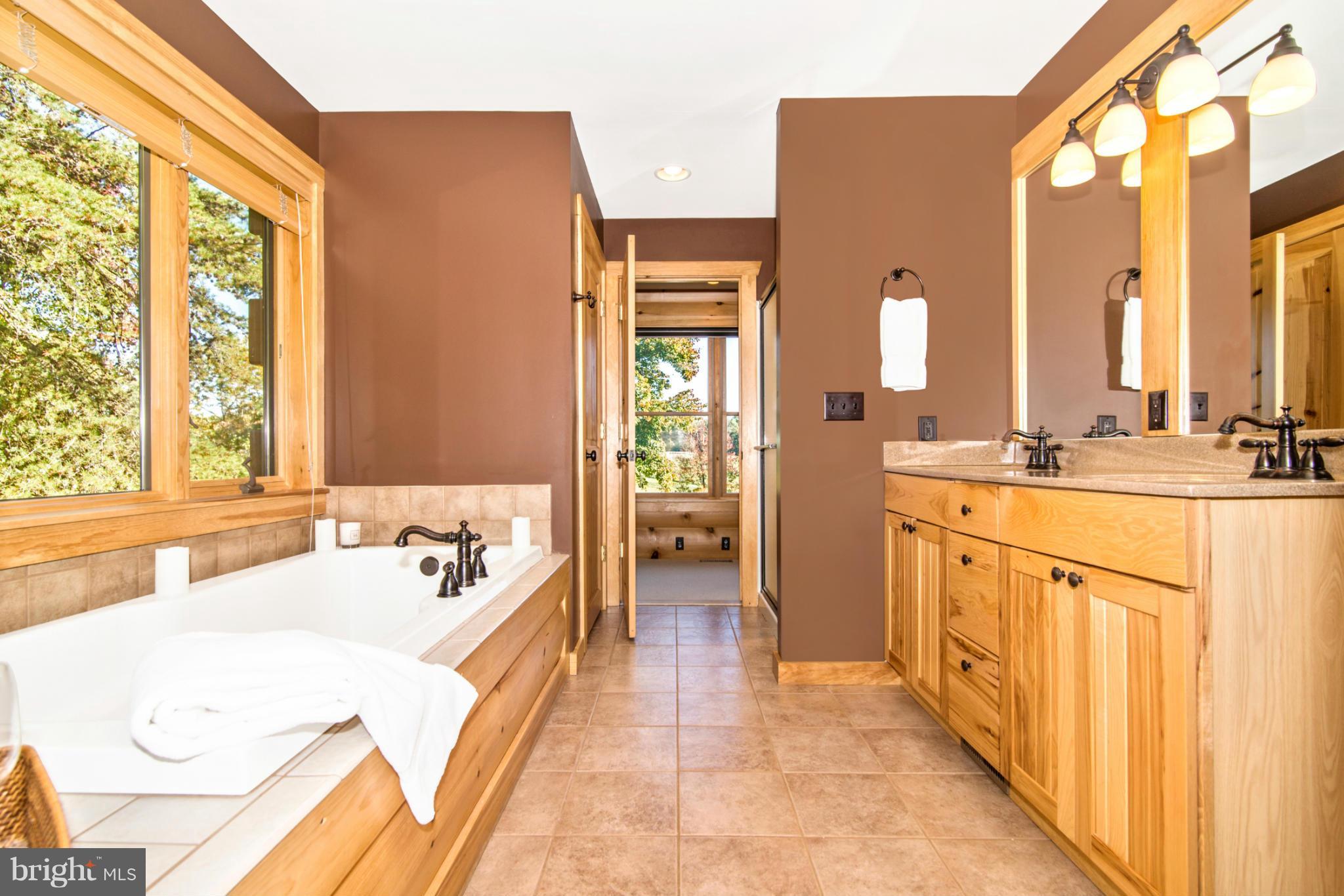 4731 Buffalo Road Mount Airy, MD 21771 - Photo 25 of 30 a en suite bathroom with a double vanity sink a mirror and a bathtub