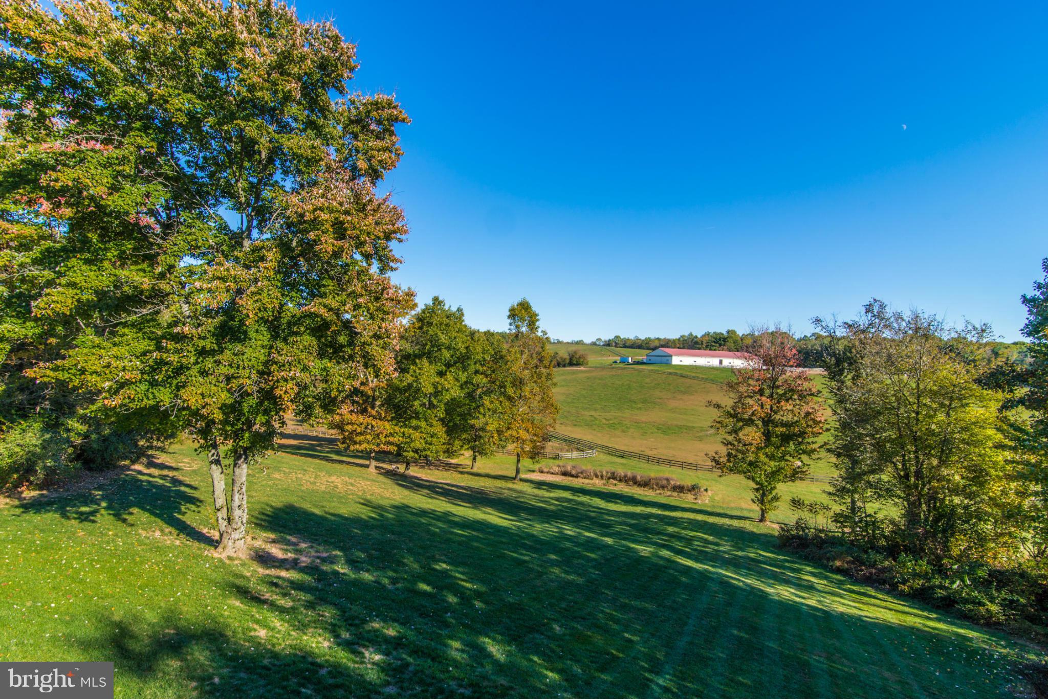 4731 Buffalo Road Mount Airy, MD 21771 - Photo 5 of 30 a view of an ocean from a yard