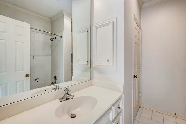 a bathroom with a sink and a large mirror