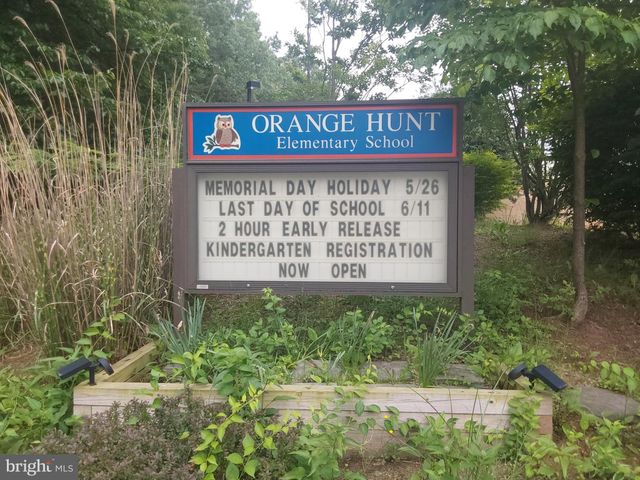 a view of a park with a large trees