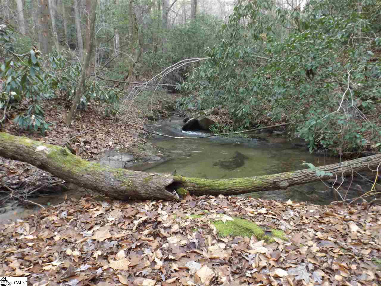 379 Gauley Falls Road Pickens, SC 29671 - Photo 20 of 34 Gallery Image 20