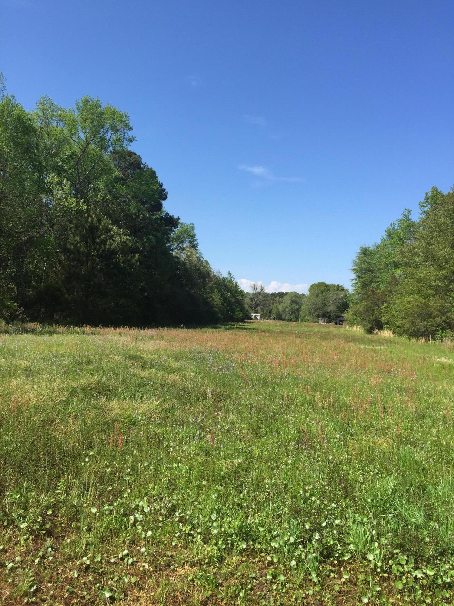 0 Boy Scout Road Gaston, SC 29053 - Photo 1 of 1 IMG_0148