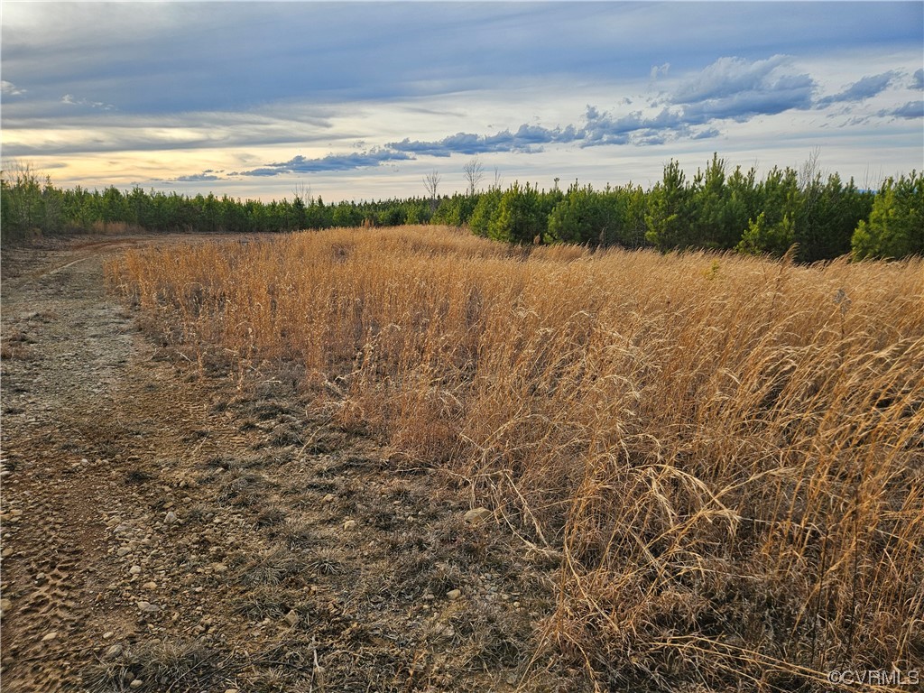 Tbd Correctional Center Road Dillwyn, VA 23936 - Photo 11 of 11 a view of lake