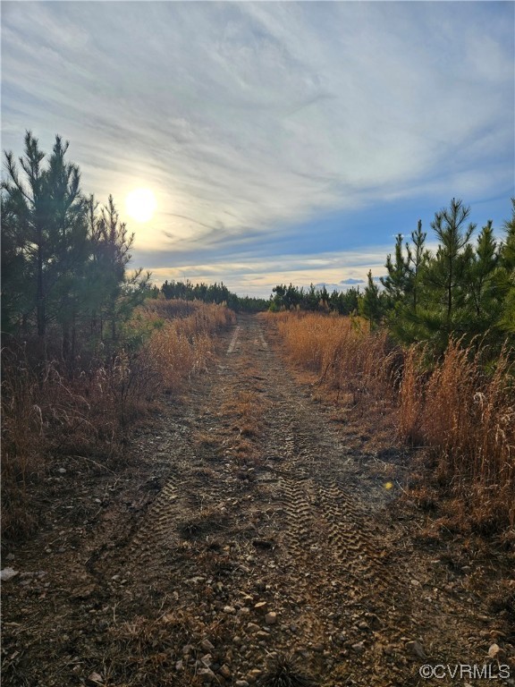 Tbd Correctional Center Road Dillwyn, VA 23936 - Photo 3 of 11 a view of a lake with a city