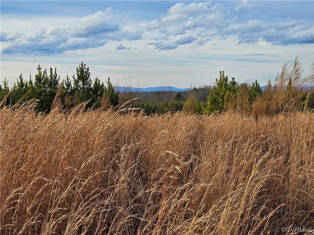 Tbd Correctional Center Road Dillwyn, VA 23936 - Photo 4 of 11 a view of a lake and mountain in the back