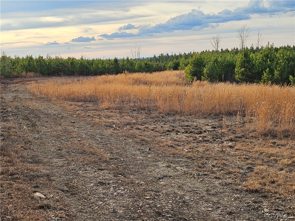 Tbd Correctional Center Road Dillwyn, VA 23936 - Photo 5 of 11 a view of lake
