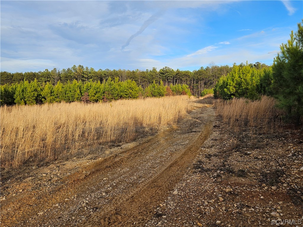 Tbd Correctional Center Road Dillwyn, VA 23936 - Photo 6 of 11 a view of lake
