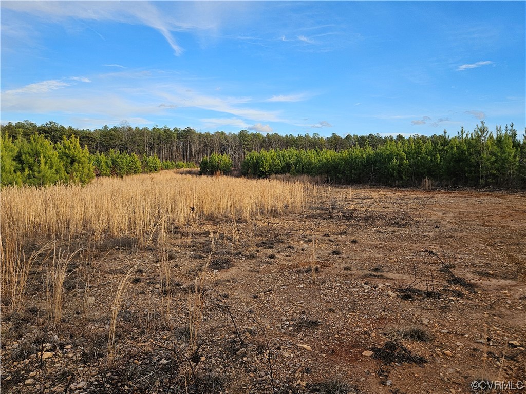 Tbd Correctional Center Road Dillwyn, VA 23936 - Photo 7 of 11 a view of a lake from a yard
