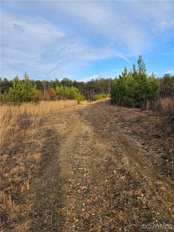 Tbd Correctional Center Road Dillwyn, VA 23936 - Photo 10 of 11 a view of lake