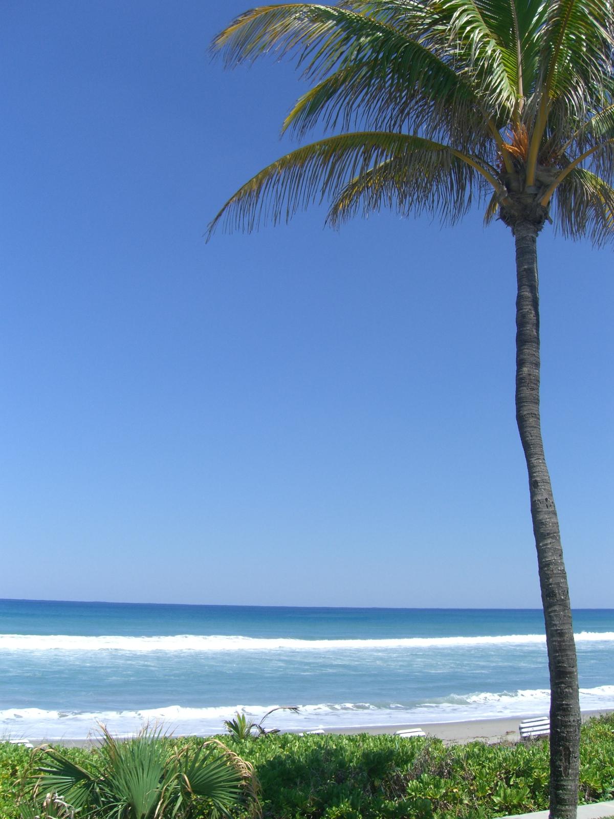 781 West Camino Real Boca Raton, FL 33486 - Photo 21 of 29 Boca Raton Beach