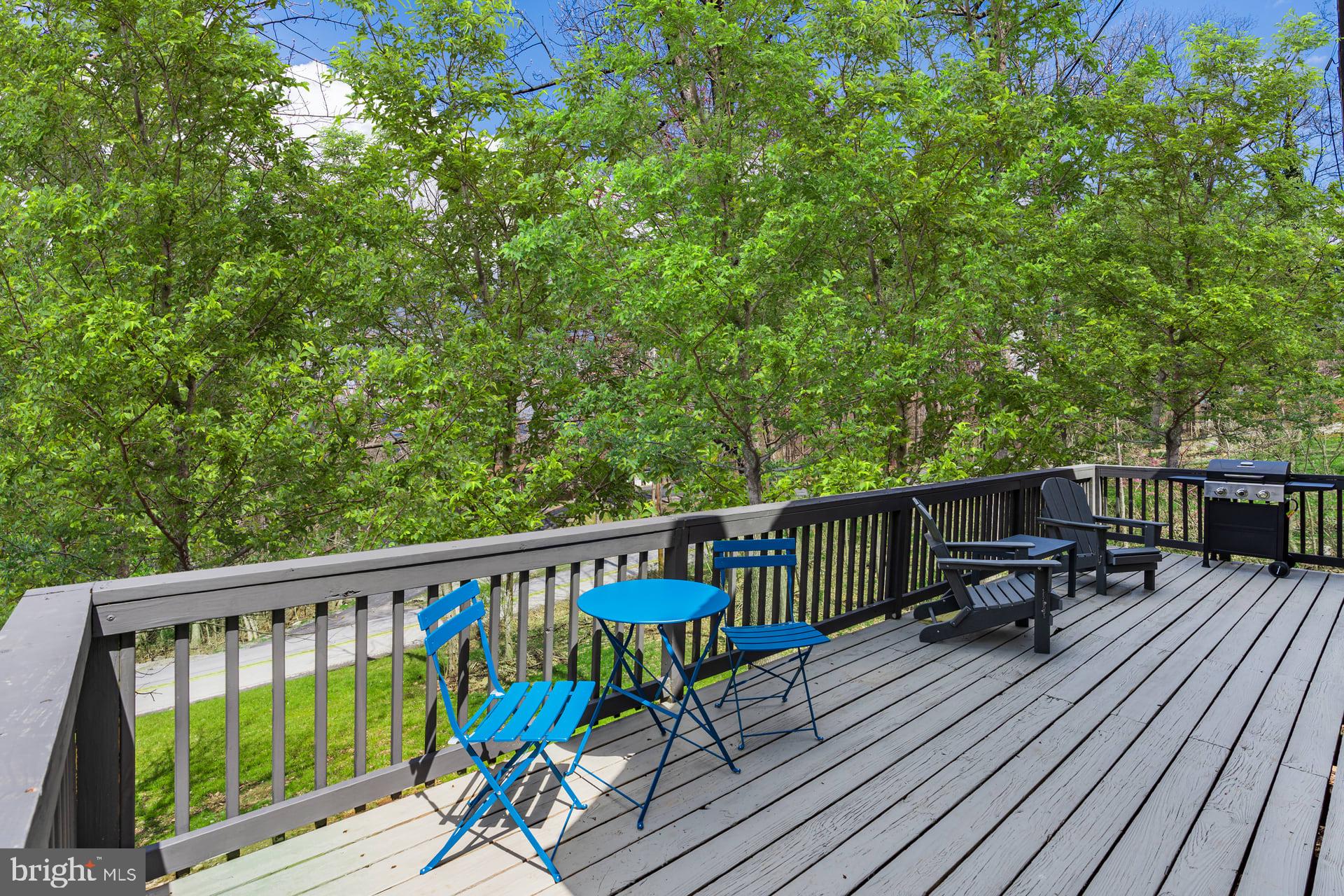 1125 Nancy Jack Road Gerrardstown, WV 25420 - Photo 3 of 24 a view of a two chairs on deck