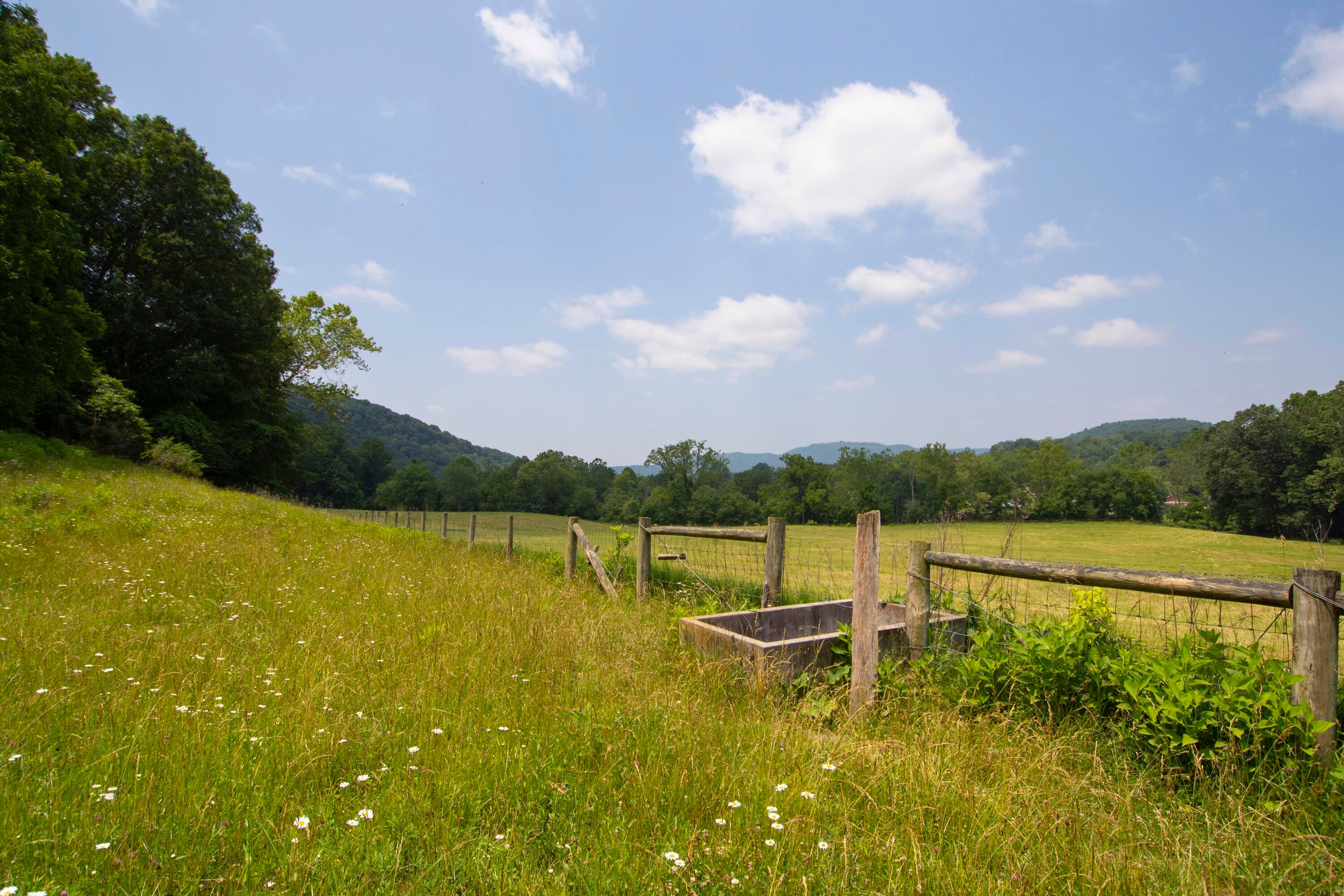 106 Creamery Road Pence Springs, WV 24962 - Photo 131 of 153 Gallery Image 131