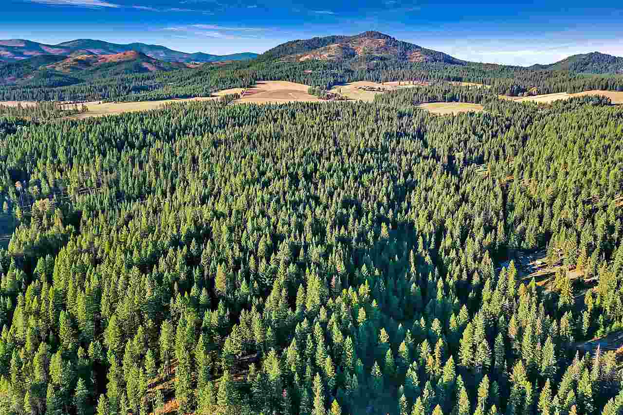 4890-4892 Getna Way Springdale, WA 99173 - Photo 3 of 8