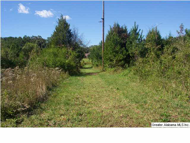 11 Highway Acs Al, Unit 40 Springville, AL 35146 - Photo 6 of 8