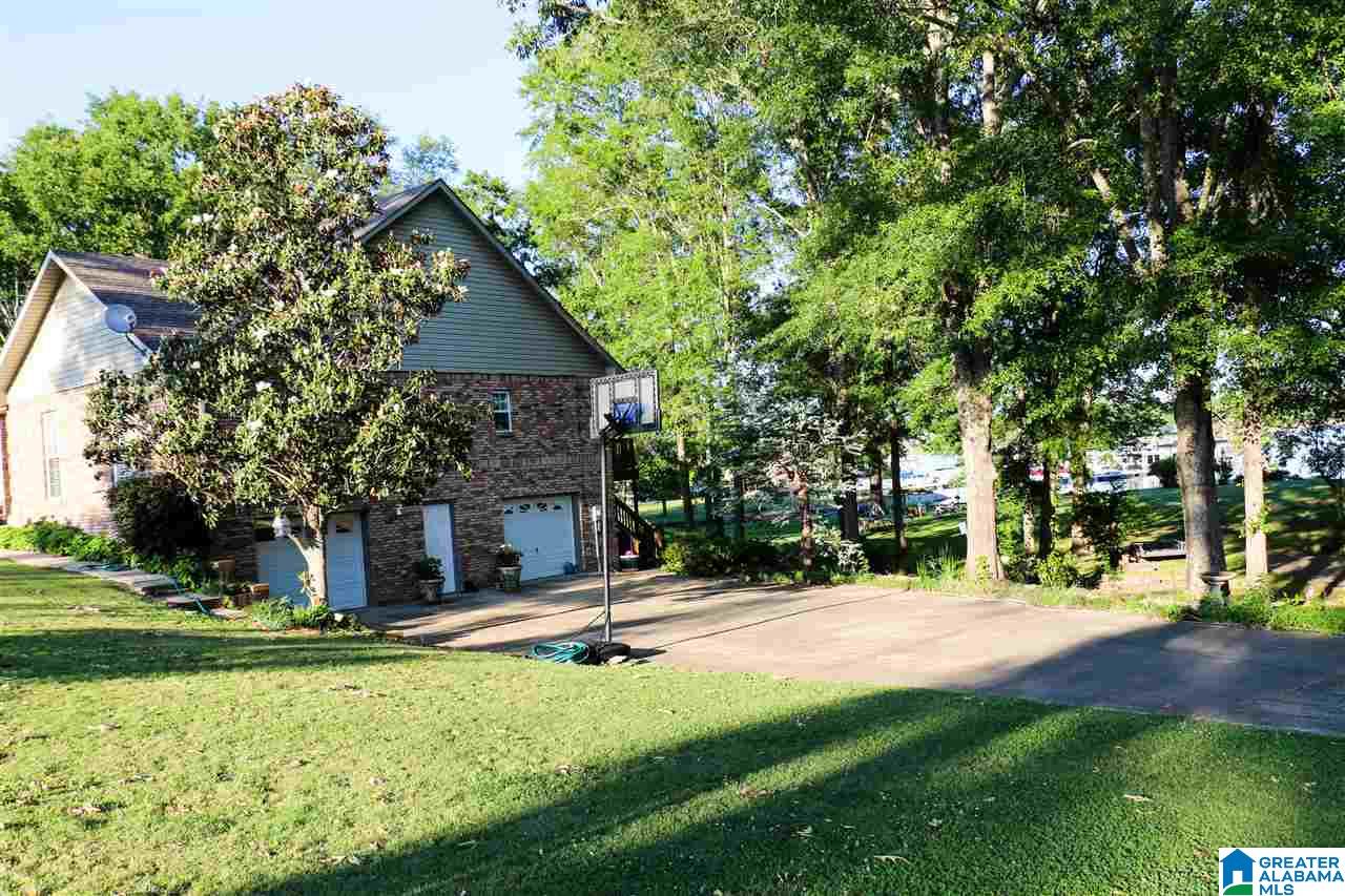 203 Blue Spring Trail Cropwell, AL 35054 - Photo 2 of 50