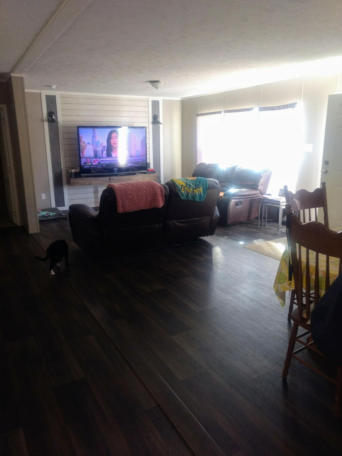 214 Possum Hollow Road Gray, TN 37615 - Photo 6 of 23 Living room 2