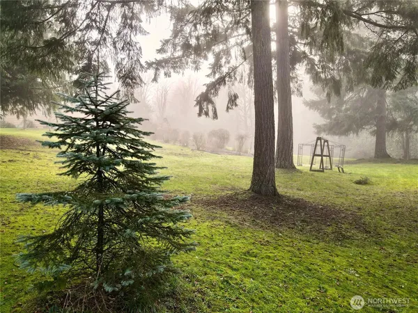 a view of a backyard