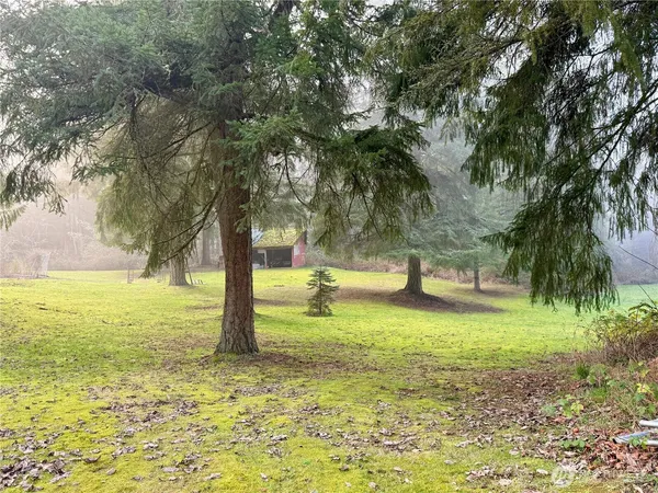 a view of a field with tree in the background