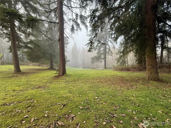 a view of outdoor space with garden and trees