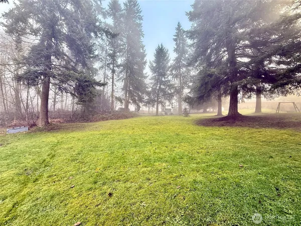 a view of a yard with a trees