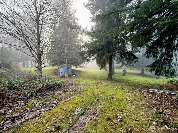 a green field with trees in the background