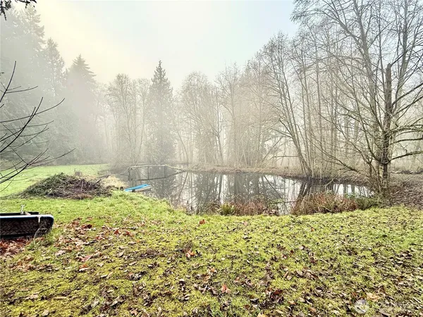 a view of back yard of the house
