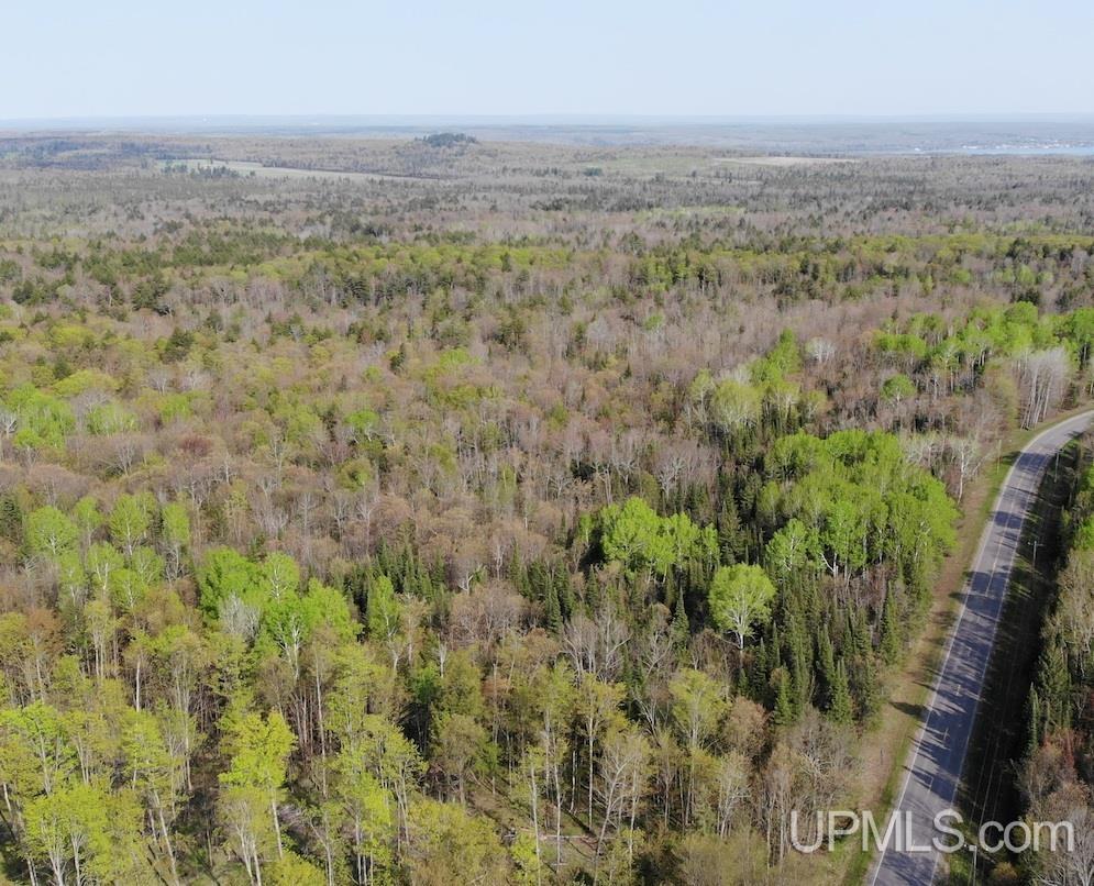 Tbdfg Dog Patch Road, Unit LOT F AND G Lanse, MI 49946 - Photo 1 of 17