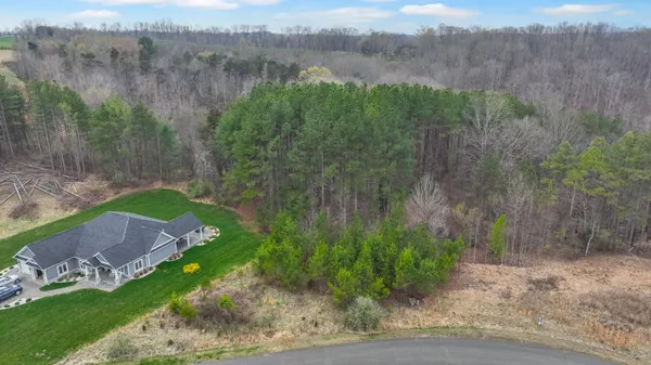 a view of a back yard