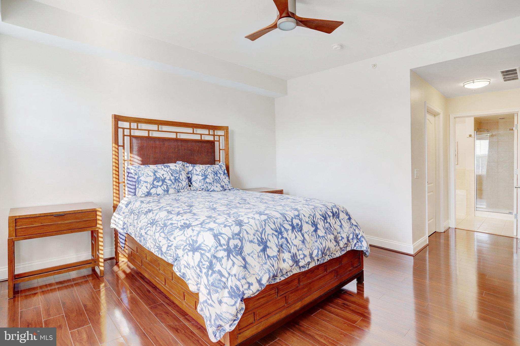 1111 Oronoco Street, Unit 430 Alexandria, VA 22314 - Photo 25 of 73 CEILING FAN