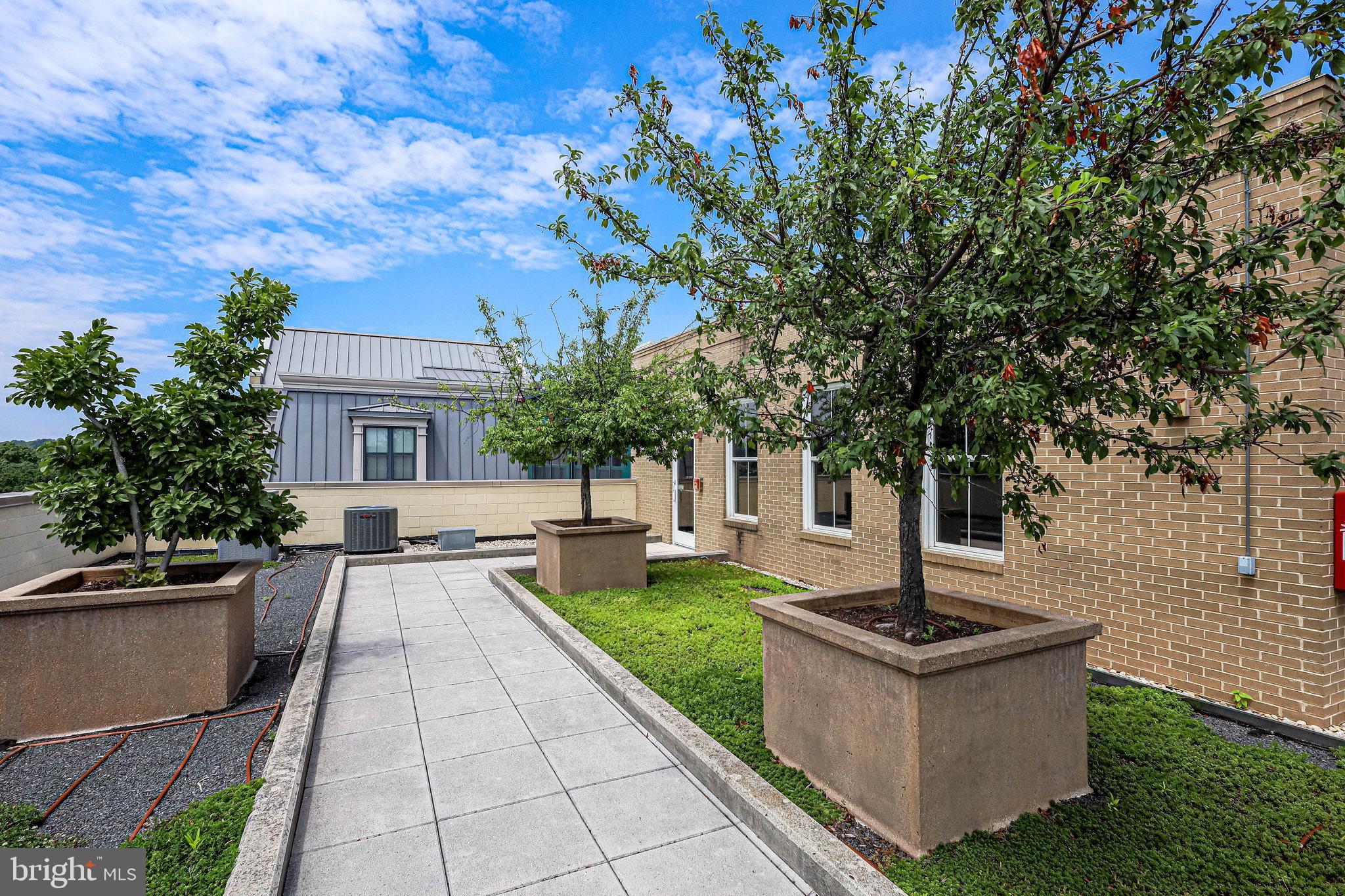 1111 Oronoco Street, Unit 430 Alexandria, VA 22314 - Photo 65 of 73 ROOF TOP TERRACE