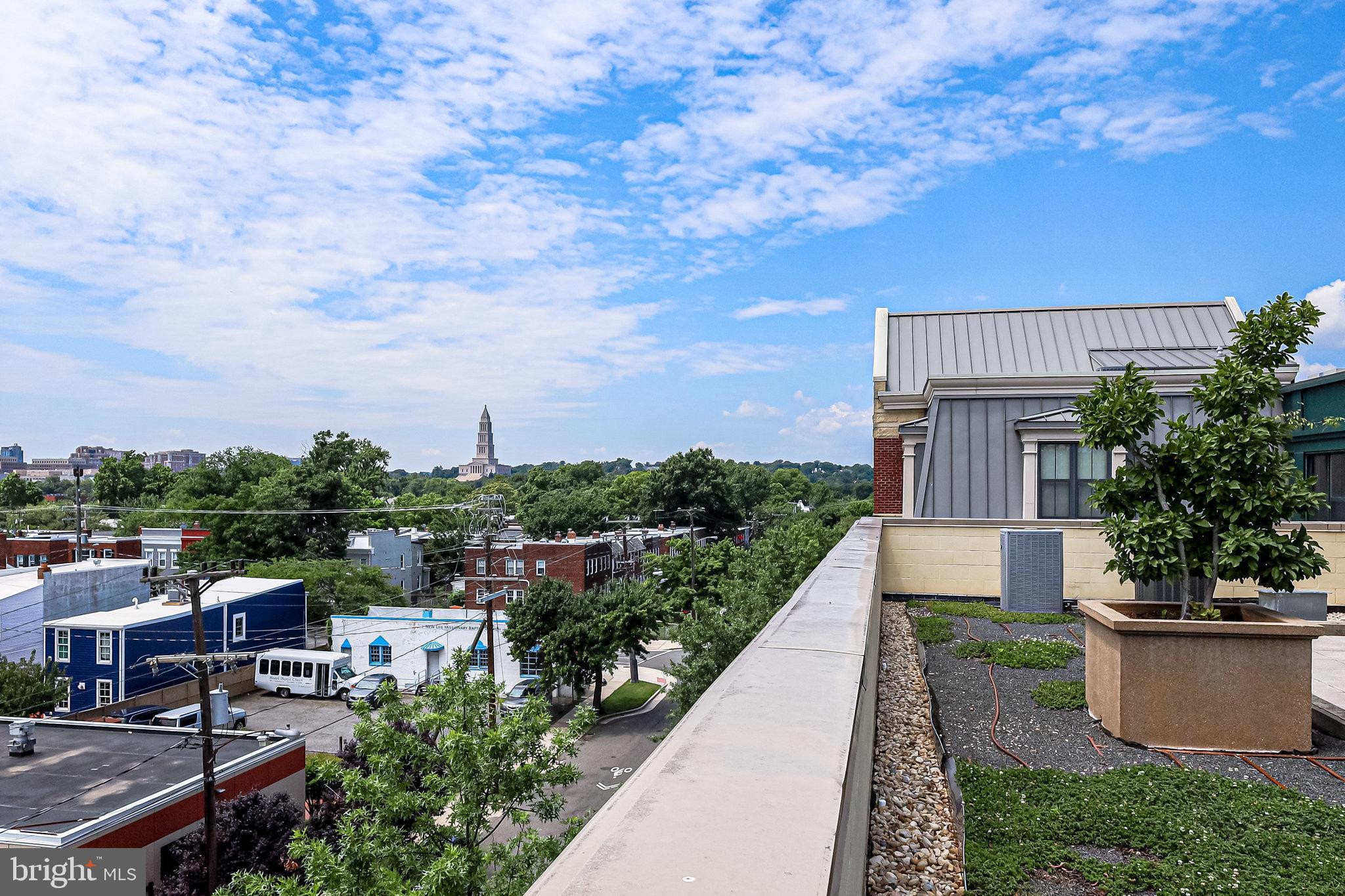 1111 Oronoco Street, Unit 430 Alexandria, VA 22314 - Photo 66 of 73 SHARED ROOF TOP