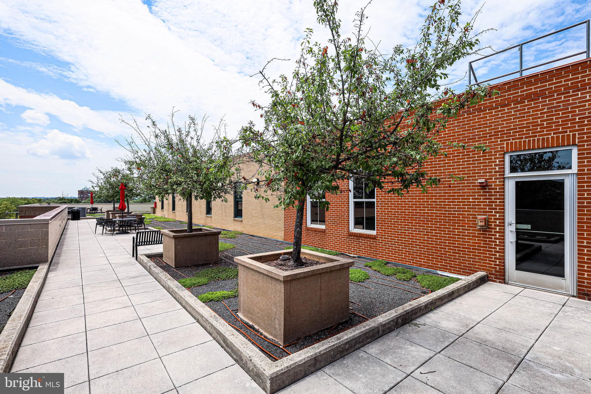 1111 Oronoco Street, Unit 430 Alexandria, VA 22314 - Photo 67 of 73 COMMUNITY ROOF TOP