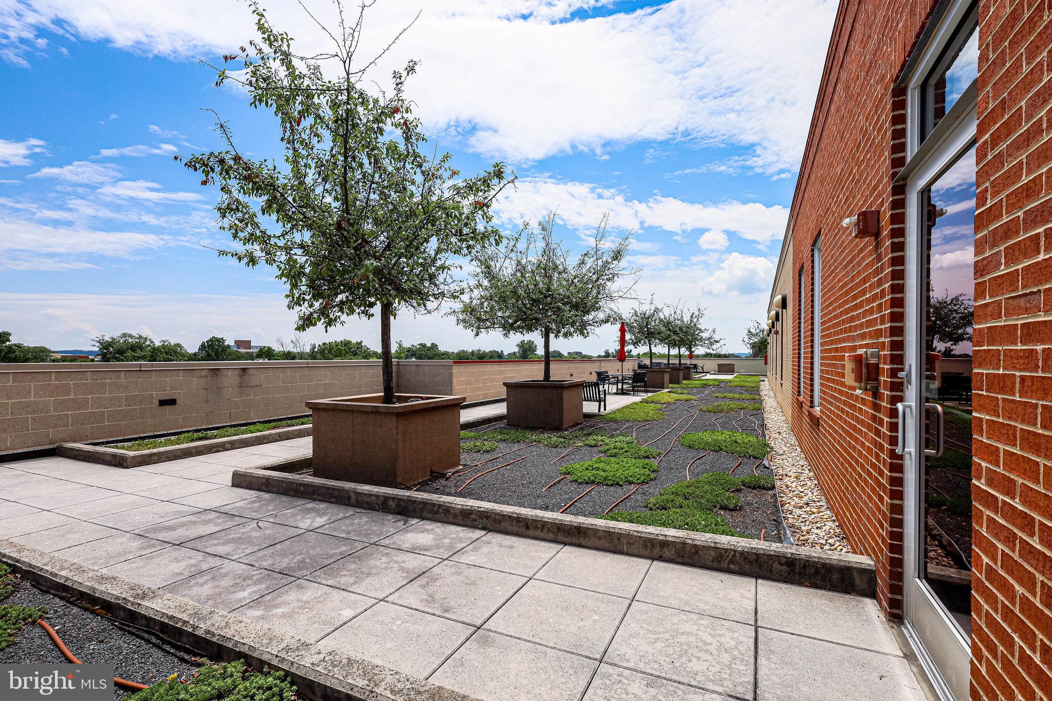 1111 Oronoco Street, Unit 430 Alexandria, VA 22314 - Photo 68 of 73 BEAUTIFUL OUTDOOR SPACE