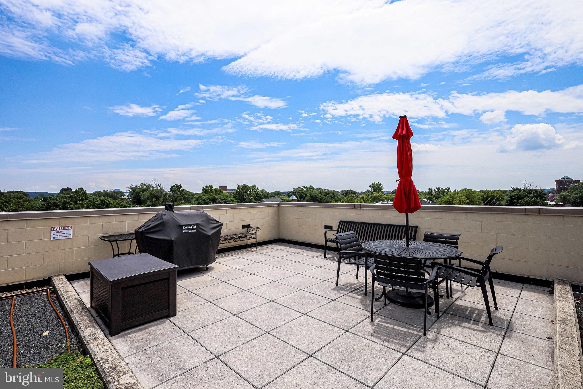 1111 Oronoco Street, Unit 430 Alexandria, VA 22314 - Photo 69 of 73 COMMUNITY GRILLING AREA