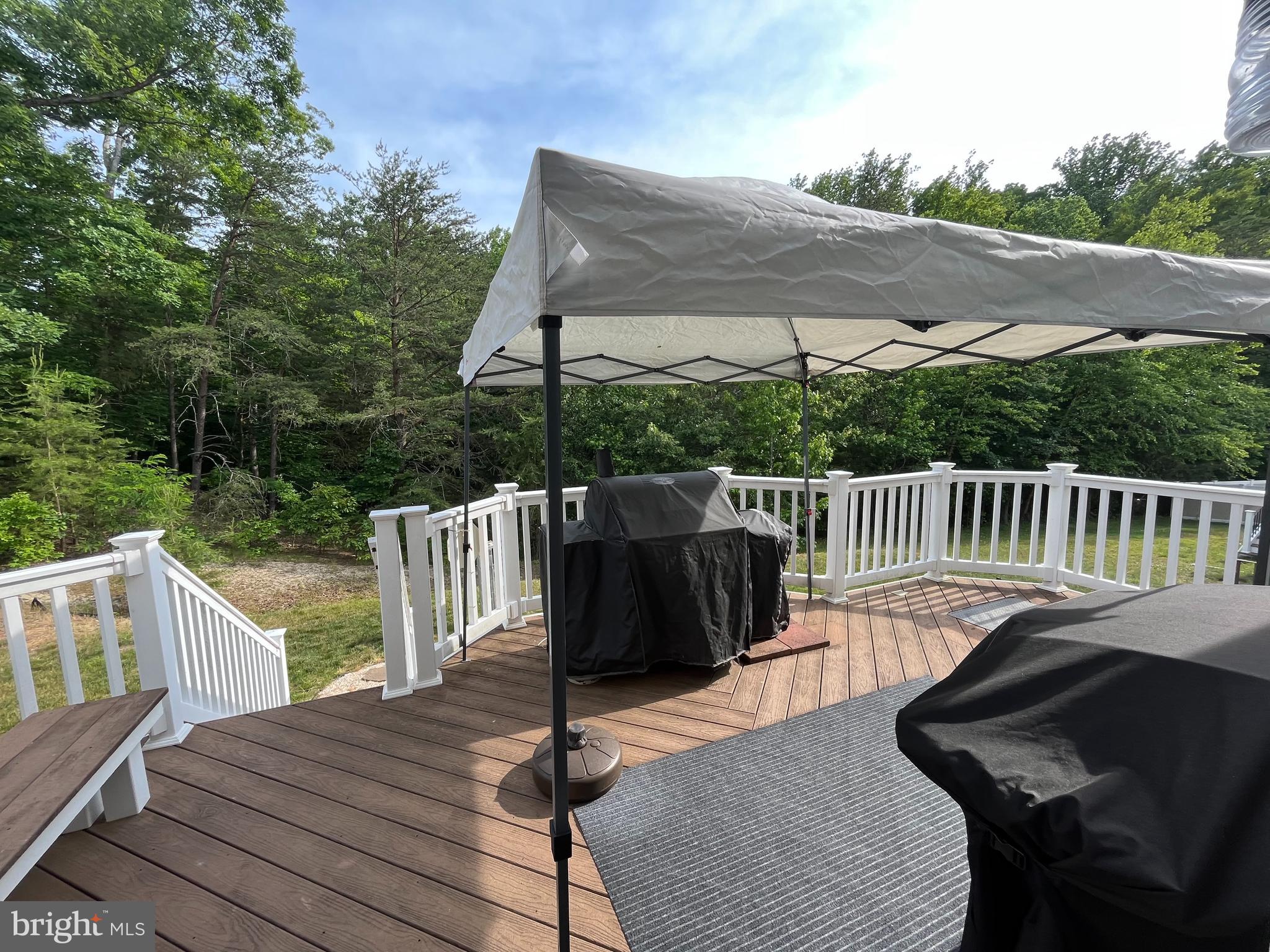 2702 Basingstoke Lane Bryans Road, MD 20616 - Photo 18 of 19