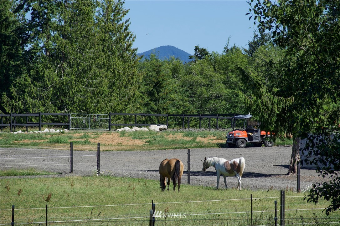 994 Gellor Road Port Angeles, WA 98362 - Photo 40 of 40 Gallery Image 40