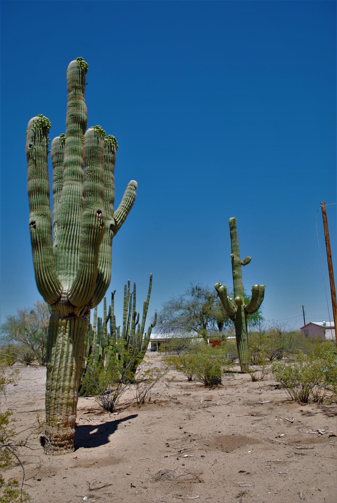 13054 West El Lobo Road Tucson, AZ 85743 - Photo 5 of 20 Gallery Image 5