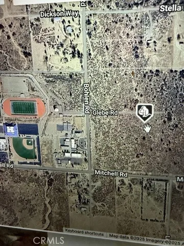 a view of a dry yard with trees