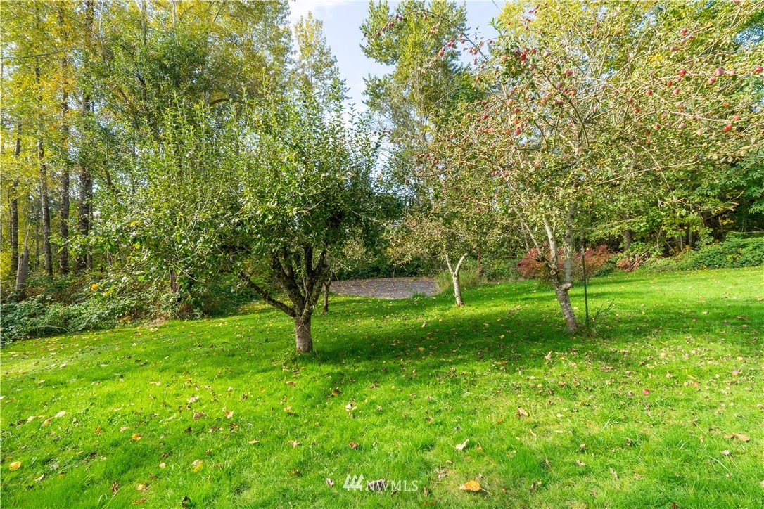 26037 Helmick Road Sedro-Woolley, WA 98284 - Photo 14 of 19 Gallery Image 14
