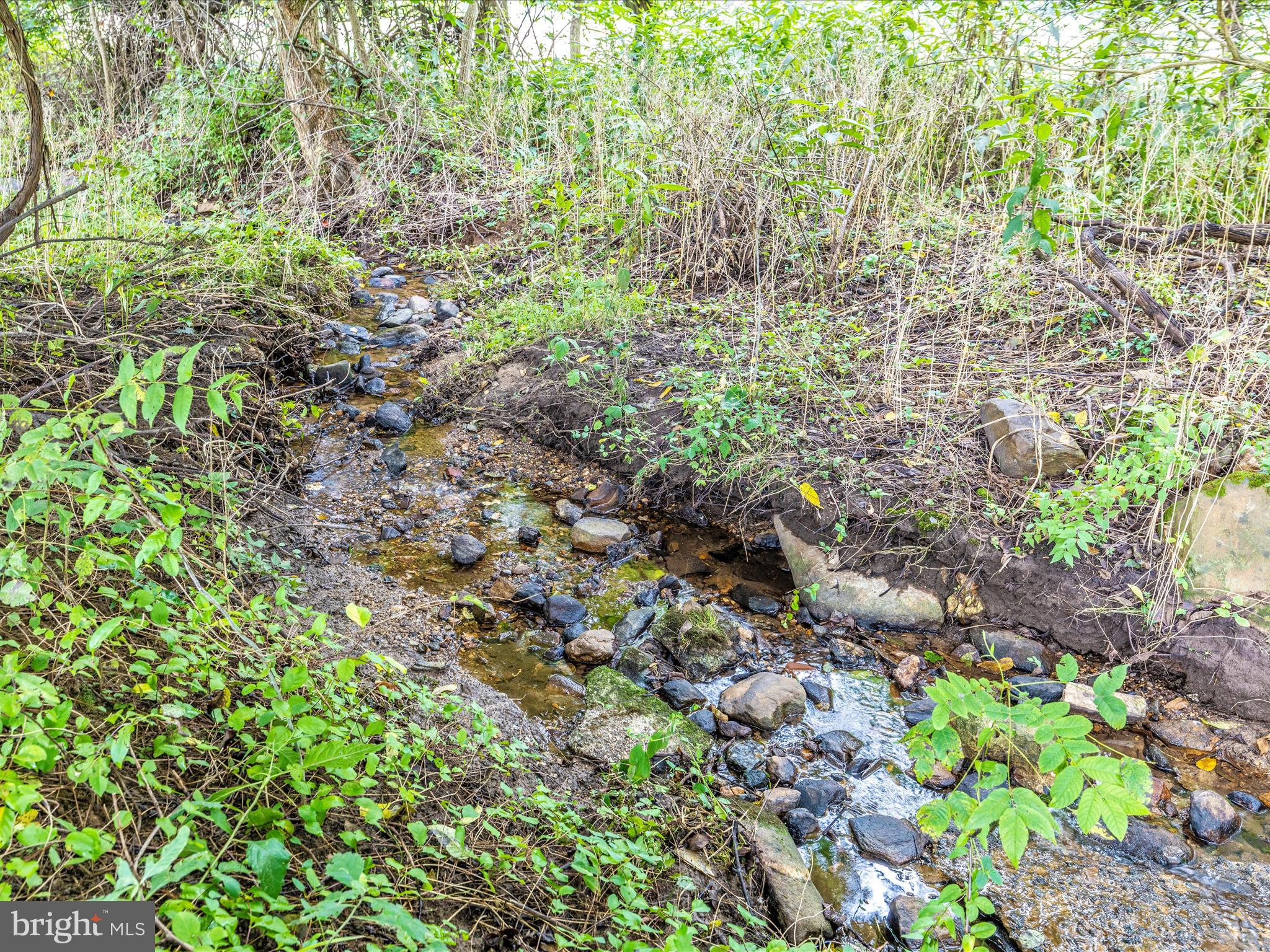 12261 Baugher Road Thurmont, MD 21788 - Photo 60 of 61 creek