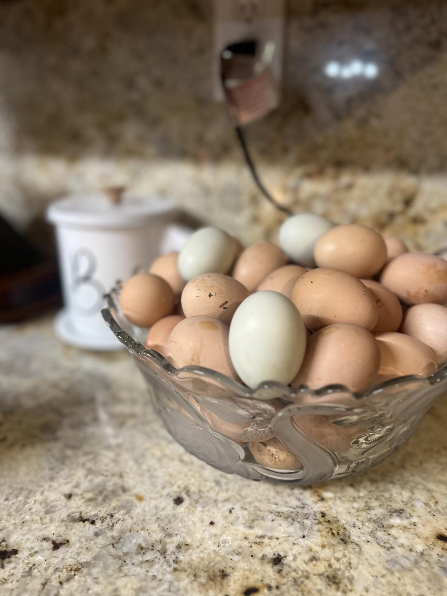 764 Ansley Road Warrenton, GA 30828 - Photo 11 of 66 IMG_9379