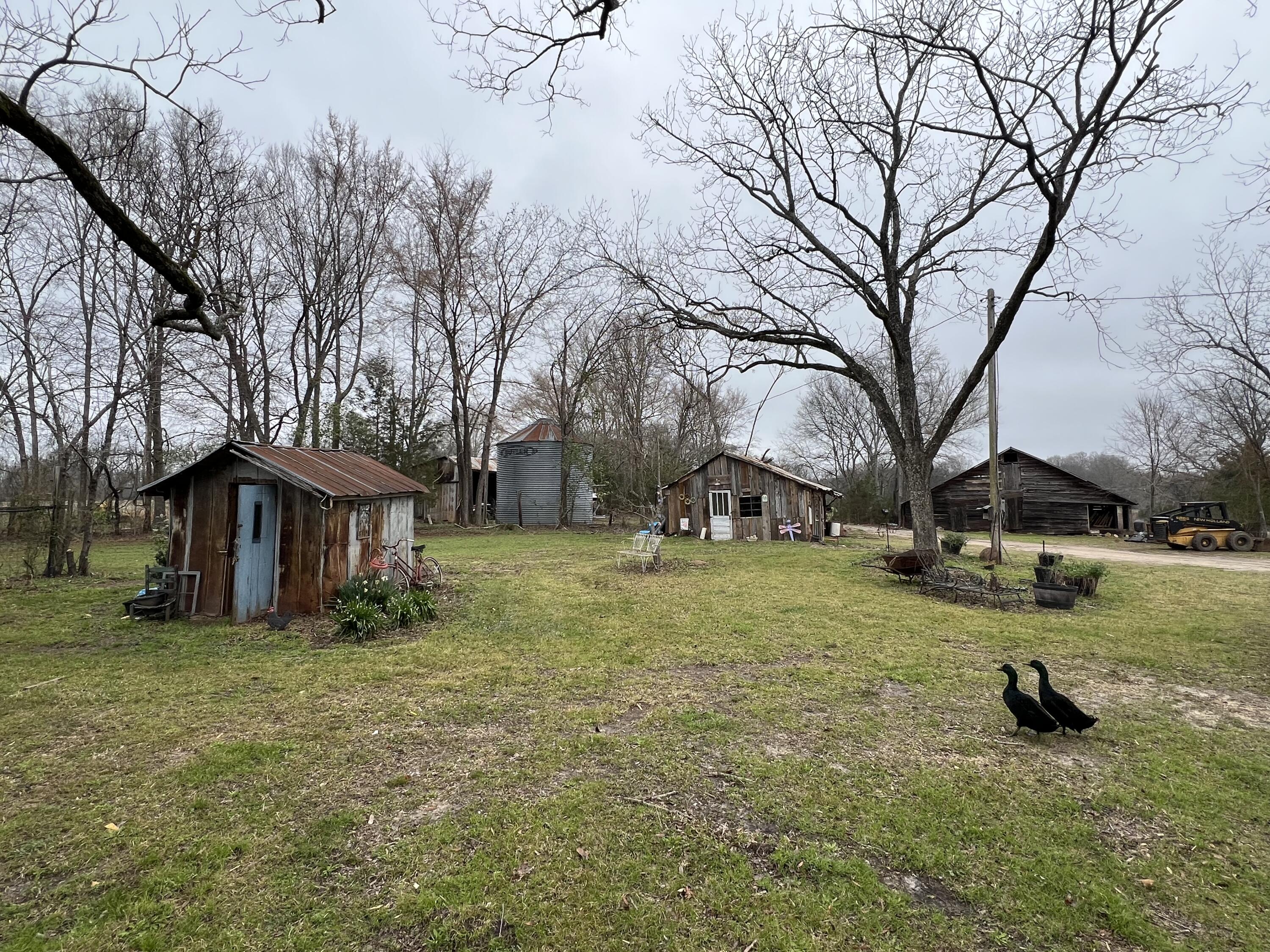 764 Ansley Road Warrenton, GA 30828 - Photo 51 of 66 IMG_9404