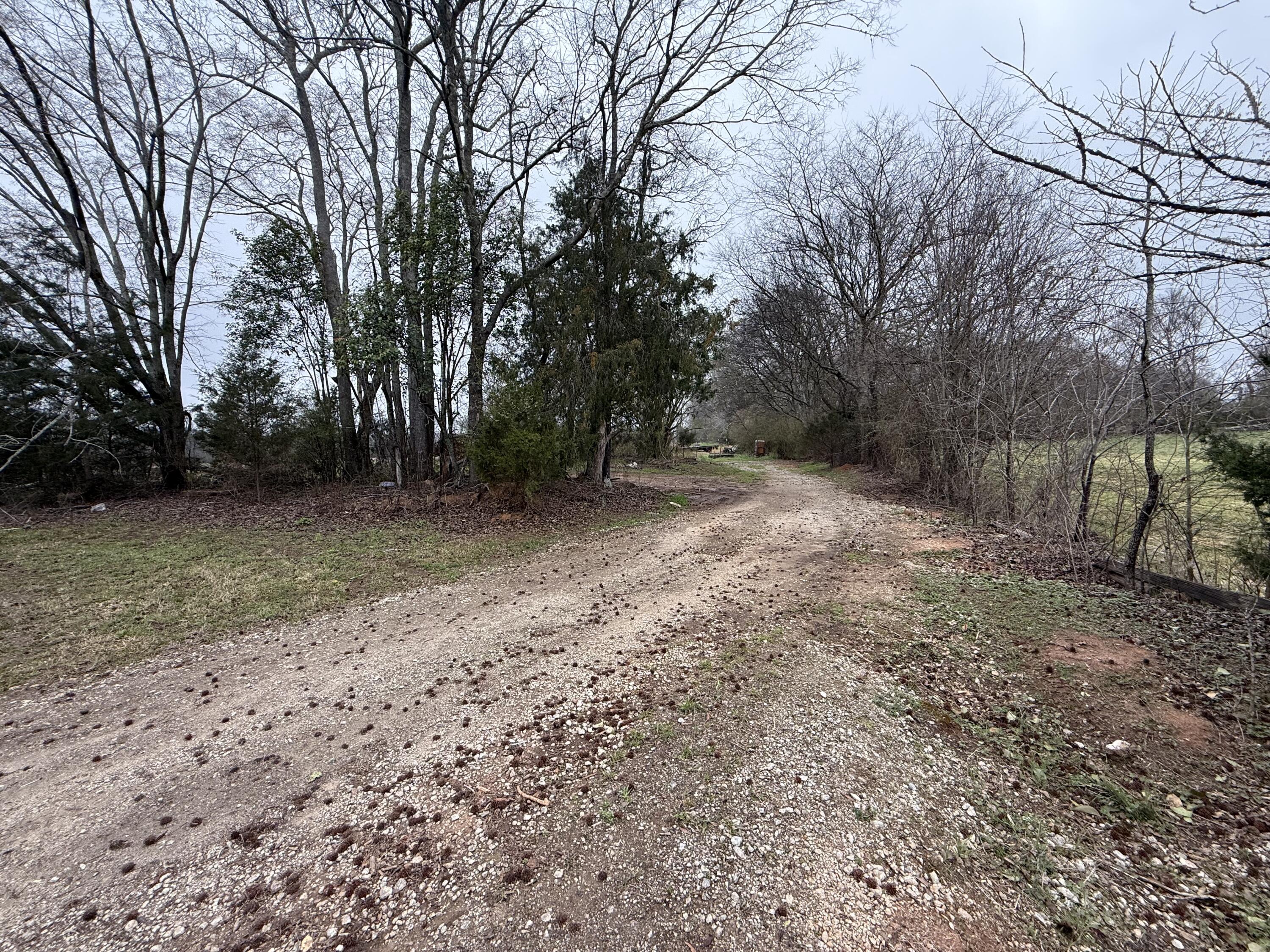 764 Ansley Road Warrenton, GA 30828 - Photo 61 of 66 IMG_3023