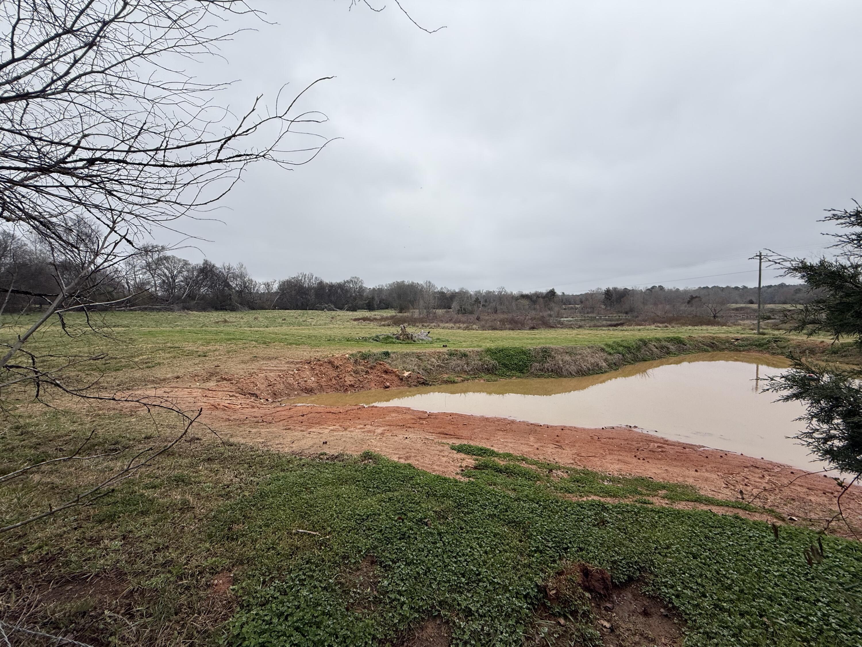 764 Ansley Road Warrenton, GA 30828 - Photo 62 of 66 IMG_3024