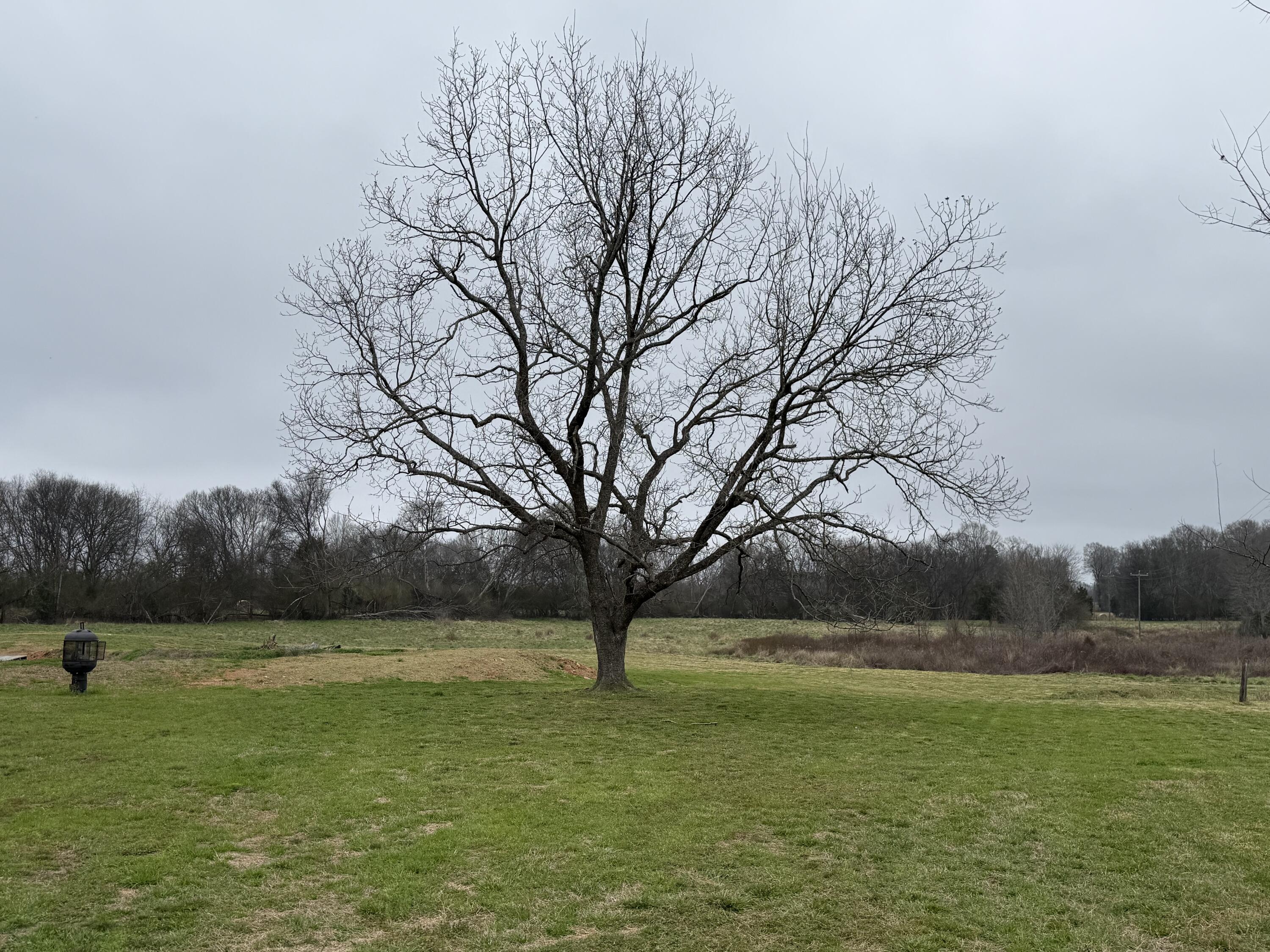 764 Ansley Road Warrenton, GA 30828 - Photo 65 of 66 IMG_3030