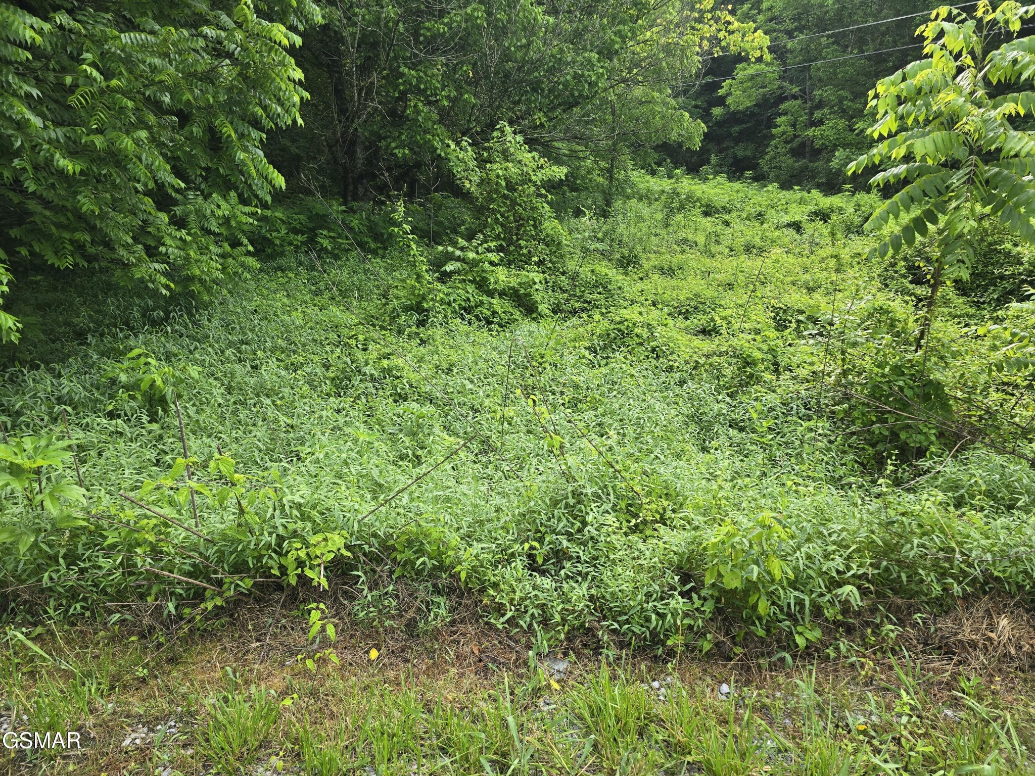 8 McCarter Hollow Road Sevierville, TN 37862 - Photo 12 of 26