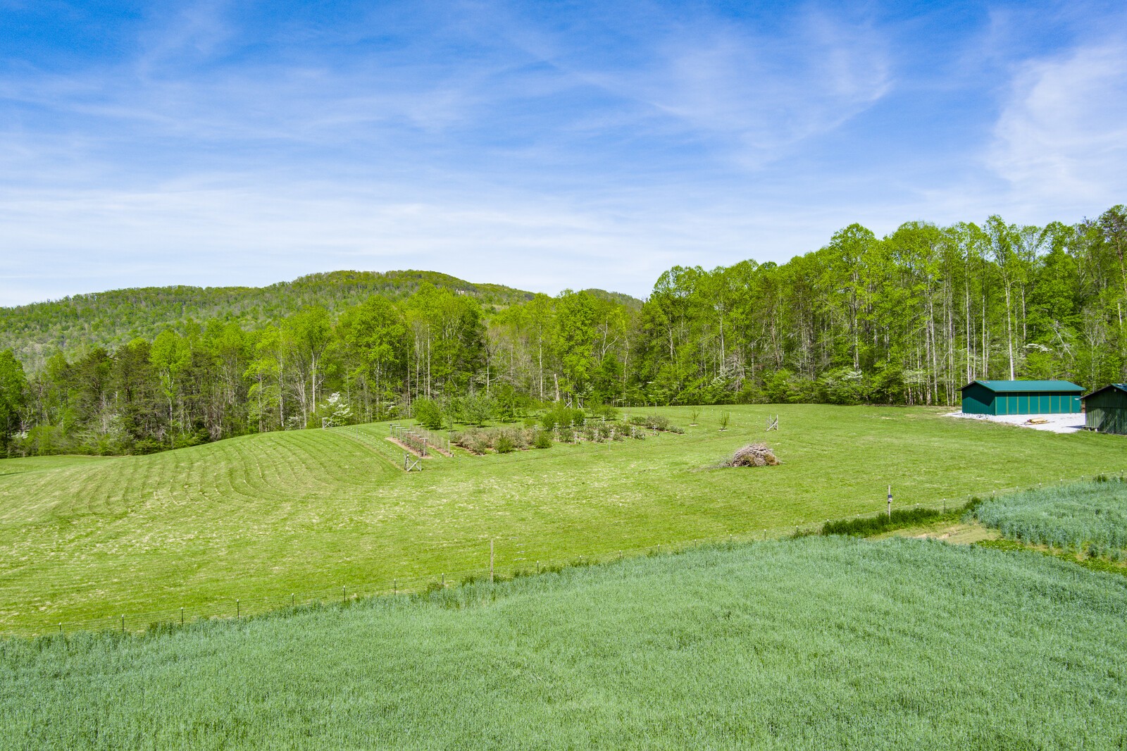 415 Shiloh Road Crawford, TN 38554 - Photo 3 of 27 Gallery Image 3