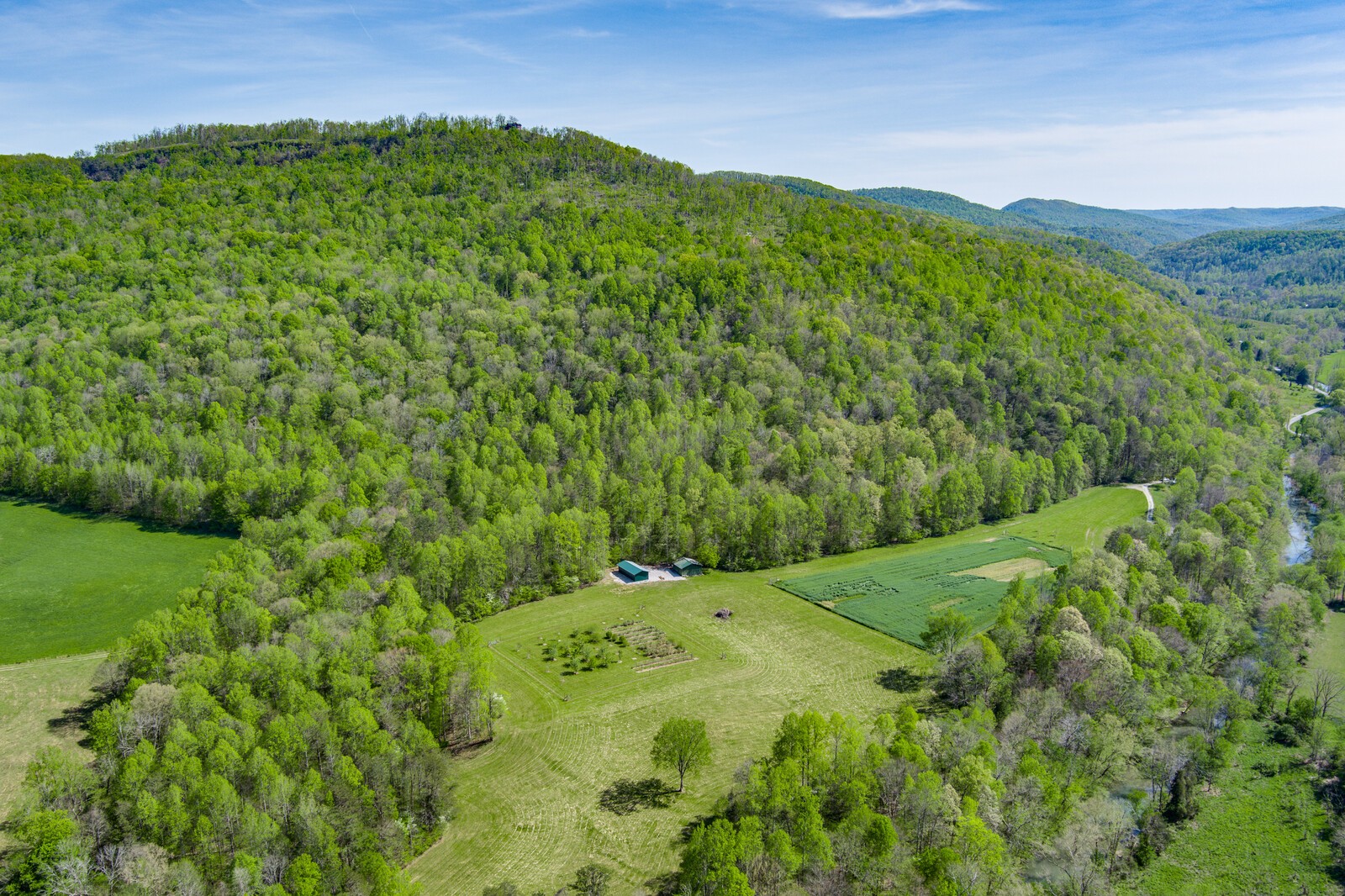 415 Shiloh Road Crawford, TN 38554 - Photo 7 of 27 Gallery Image 7