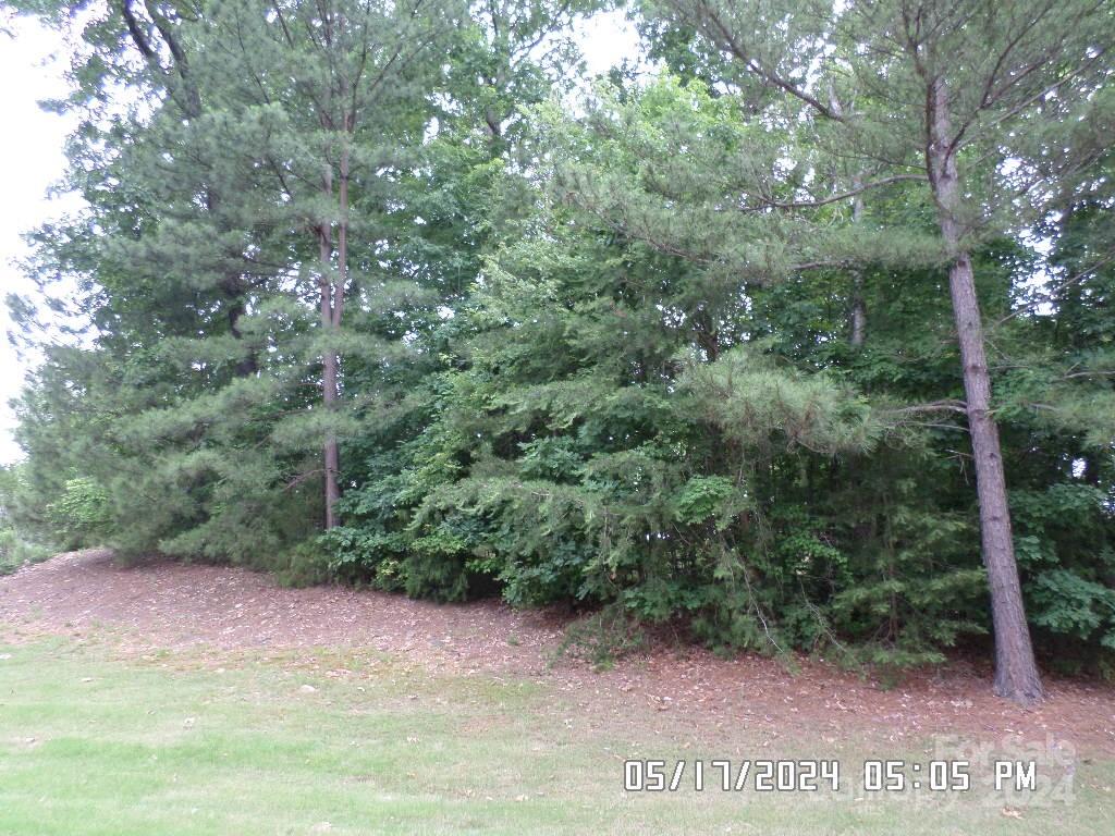 11334 Stone Trail Road Charlotte, NC 28213 - Photo 4 of 24 Gallery Image 4